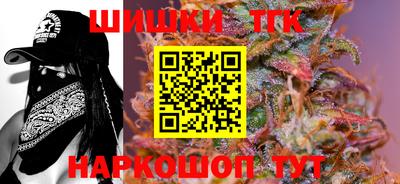 молекула духа Будённовск