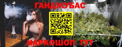 молекула духа Будённовск