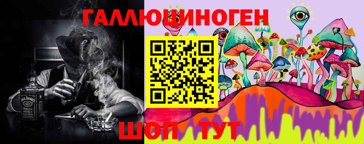 Псилоцибиновые грибы Psilocybine cubensis  наркотики  Пугачёв  Вход с VPN  Галлюциногенные грибы Magic Shrooms 